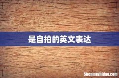 是自拍的英文表达