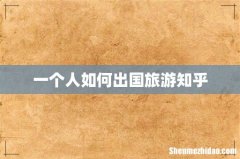 一个人如何出国旅游知乎