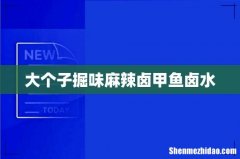 大个子掘味麻辣卤甲鱼卤水