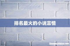 排名最火的小说言情
