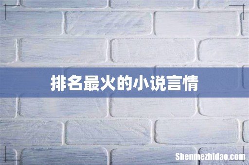 排名最火的小说言情