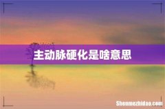 主动脉硬化是啥意思