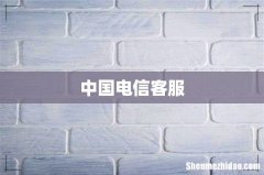 中国电信客服