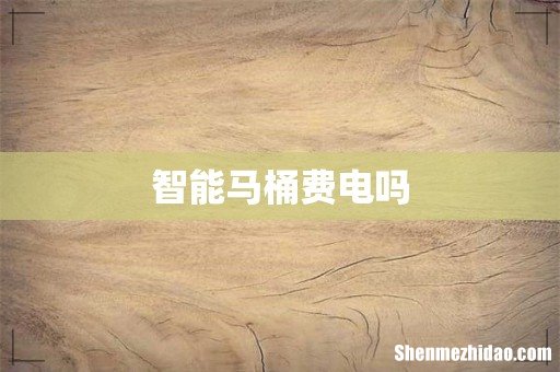 智能马桶费电吗