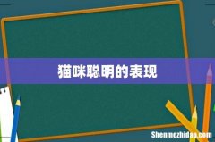 猫咪聪明的表现