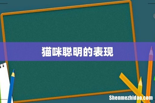 猫咪聪明的表现