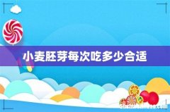 小麦胚芽每次吃多少合适