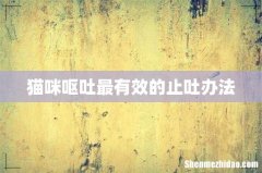 猫咪呕吐最有效的止吐办法