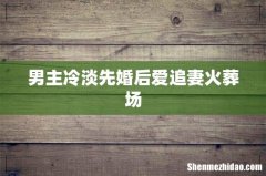 男主冷淡先婚后爱追妻火葬场