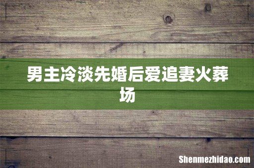 男主冷淡先婚后爱追妻火葬场