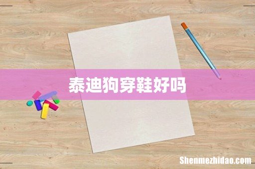 泰迪狗穿鞋好吗