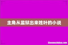 主角从监狱出来姓叶的小说