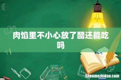 肉馅里不小心放了醋还能吃吗