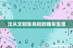 沈从文和张兆和的晚年生活