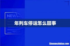 年列车停运怎么回事