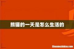熊猫的一天是怎么生活的