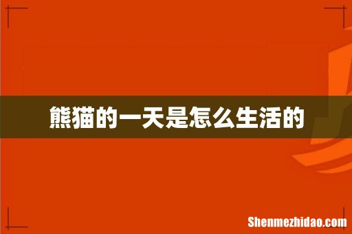 熊猫的一天是怎么生活的
