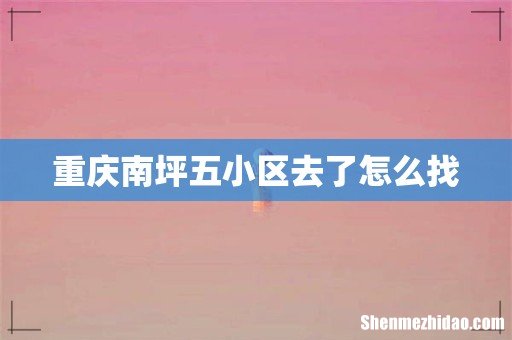 重庆南坪五小区去了怎么找