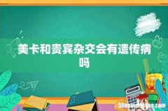 美卡和贵宾杂交会有遗传病吗
