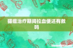 猫瘟治疗期间拉血便还有救吗