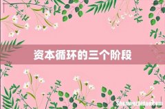 资本循环的三个阶段