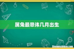 属兔最忌讳几月出生