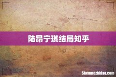 陆昂宁琪结局知乎