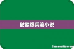 骷髅爆兵流小说