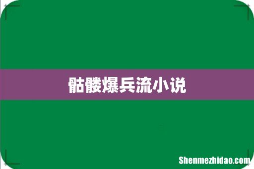 骷髅爆兵流小说