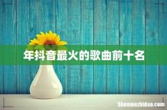 年抖音最火的歌曲前十名