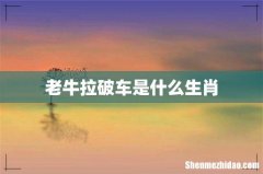 老牛拉破车是什么生肖