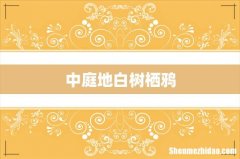 中庭地白树栖鸦