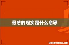 骨感的现实是什么意思