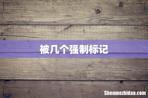 被几个强制标记