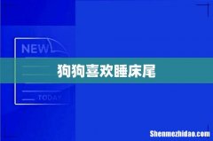 狗狗喜欢睡床尾