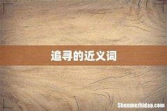 追寻的近义词