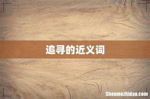 追寻的近义词