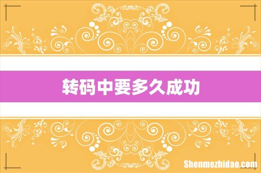 转码中要多久成功