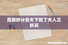 周郎妙计安天下赔了夫人又折兵