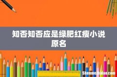 知否知否应是绿肥红瘦小说原名
