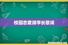 校园恋爱翊学长歌词