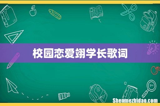 校园恋爱翊学长歌词