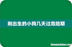 刚出生的小狗几天过危险期