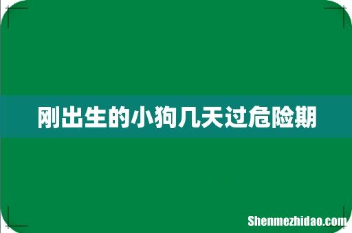 刚出生的小狗几天过危险期