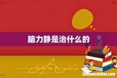 脑力静是治什么的