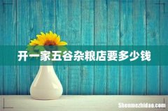 开一家五谷杂粮店要多少钱