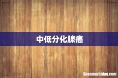 中低分化腺癌