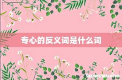 专心的反义词是什么词