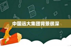 中国远大集团背景很深