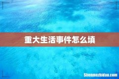 重大生活事件怎么填